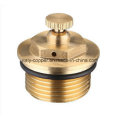 Customized Quality Brass Air Vent Valve (AV3068)